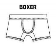 boxer.jpg
